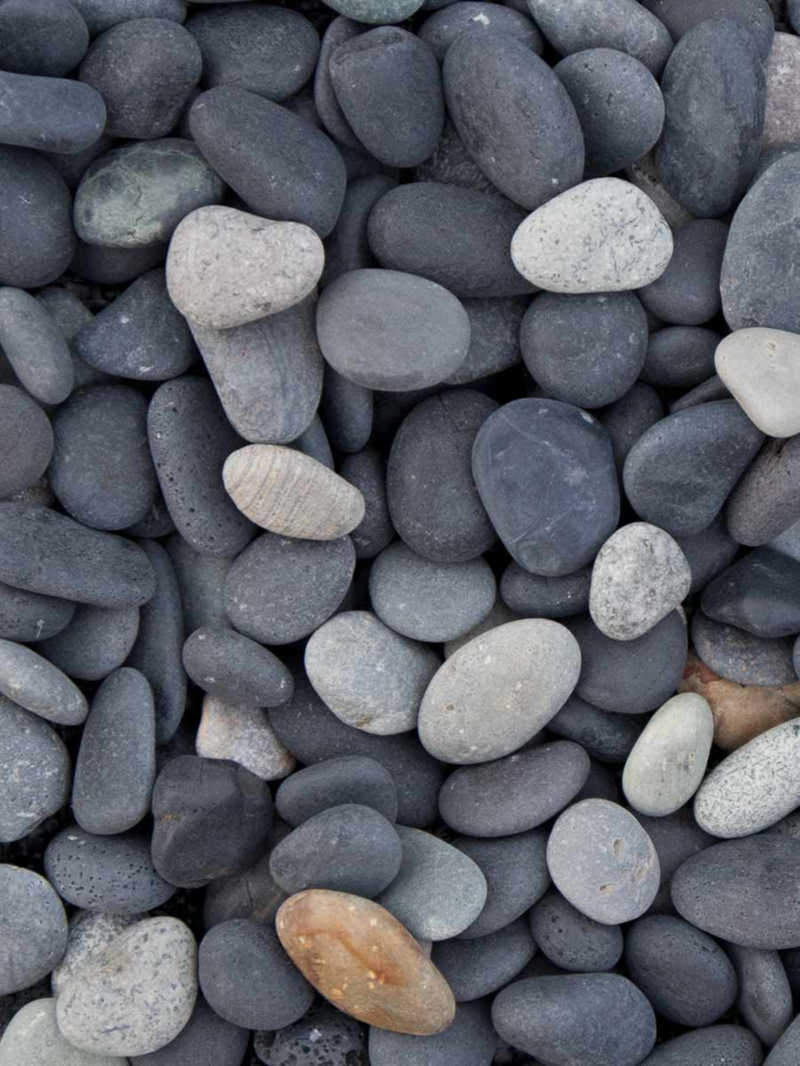 Beach Pebbles 8-16 mm Antraciet, zak 20 kg | DK Tuinmaterialen