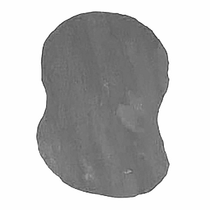 Flagstone staptegel Kwartsiet Grey ± 0,2 m2 Grijs