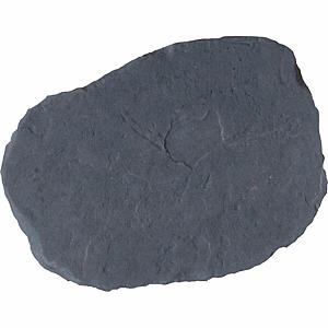 Staptegel Flagstone Ø 50 x 4 cm Antraciet