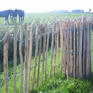 Kastanje hek 90x460 cm, latafstand 5 cm