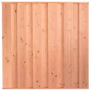Tuinscherm Alkmaar 11-planks 180x180 cm Douglas