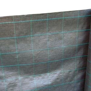 Gronddoek 420 cm breed/m1