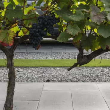 Tremico 6cm 30x60cm Antraciet