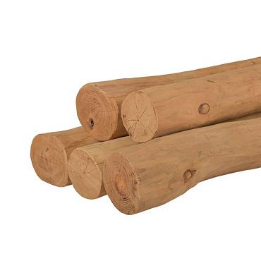 Paal 250xØ12/14 cm Robinia geschuurd