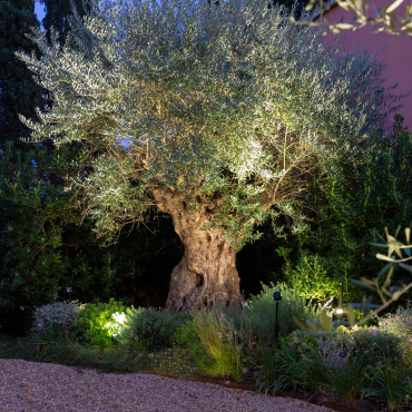 Big Scope 12V Ø 66 mm, H 76 mm