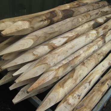 Kastanjepaal Ø8/10x160 cm geschild en gepunt