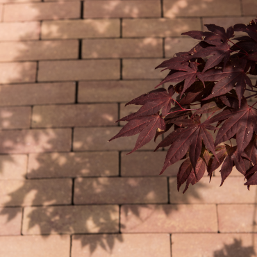 Strackstone+ Dikformaat 21x7x8 cm vlak Wijnrood/oker genuanceerd