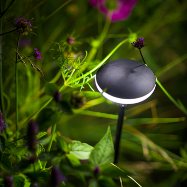 Sway Light Head Black Ø 8,5 cm