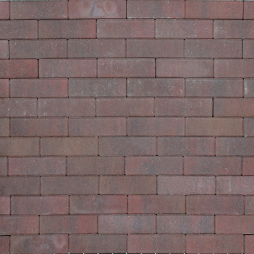 Tremico betonklinker (DF) 20x6,7x6 cm Oud bont