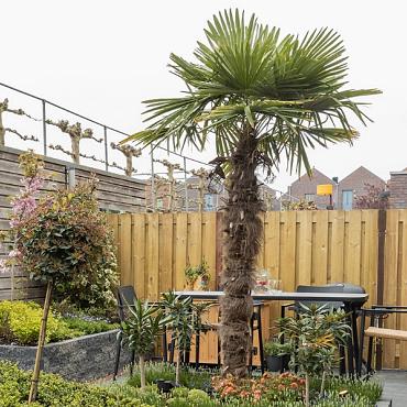 Tuinscherm Colorado 17-planks 180x180 cm Grenen Groen geïmpregneerd