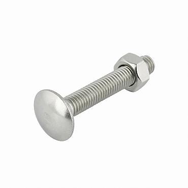 Slotbout met moer M10x120 mm, verzinkt (1 st)