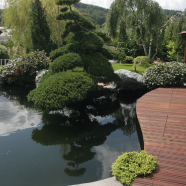 Vlonderplank premium 2,7x19x274 cm Bankirai V-groef