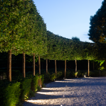 Ace Solitary 12V Dark Grey 8,6x7,8x20,5 cm