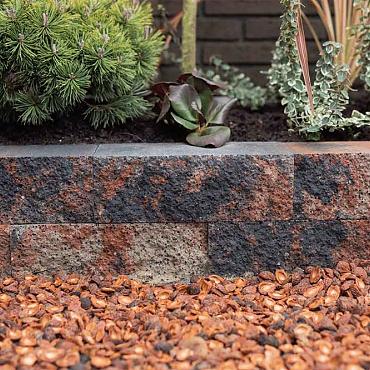 Nature Walling 32x13x11 cm Mosselkalk