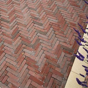 Art Bricks waalformaat Bosch 5x20x6 cm Rood/paars getrommeld