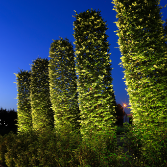 BIG SCOPE NARROW 12V Ø6,6x7,6 cm