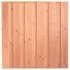 Tuinscherm Alkmaar 11-planks 180x180 cm Douglas