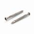 Terrasschroeven rvs Torx 20 5x40 mm (100 st)