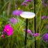 Sway Tube Low 60 cm Solitary